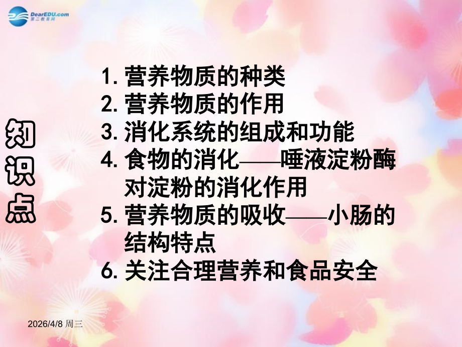 山东省泰安市新泰七年级生物下册 第二章复习课件 新人教版.ppt_第2页