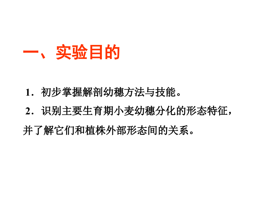 实验一 小麦穗分化观察.pptx_第2页