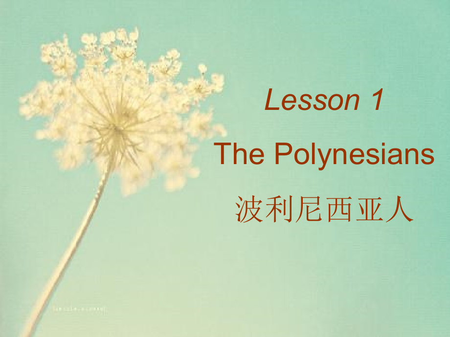 中学生百科英语lesson 1.ppt_第2页