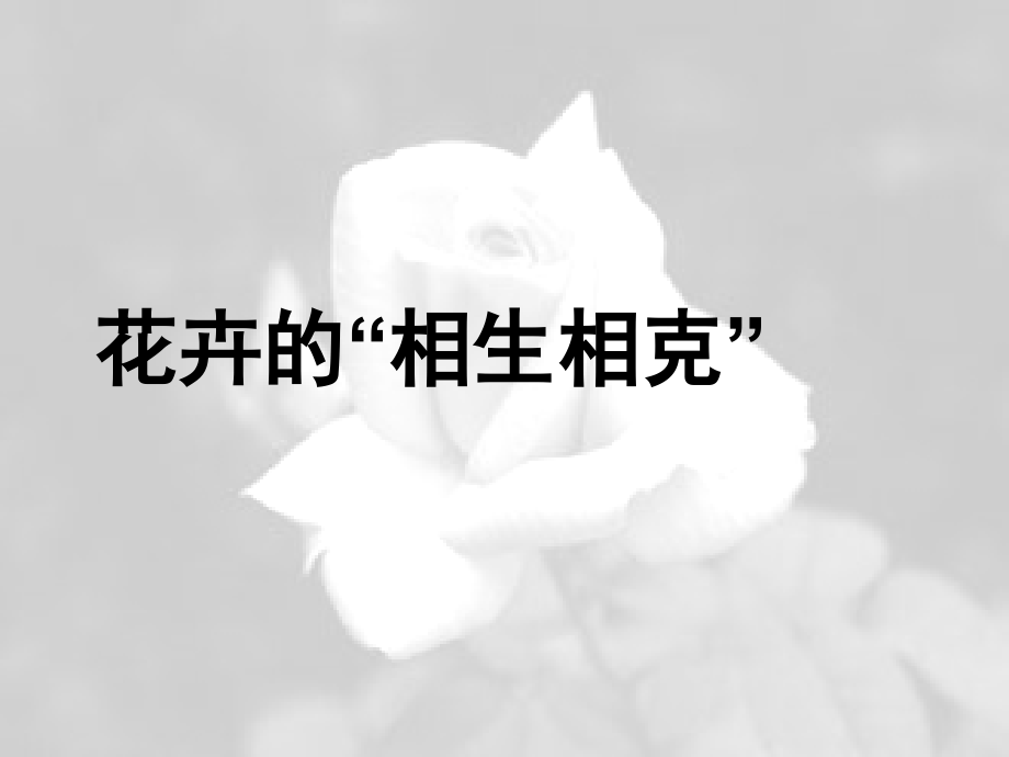 花卉的相生相克.ppt_第1页