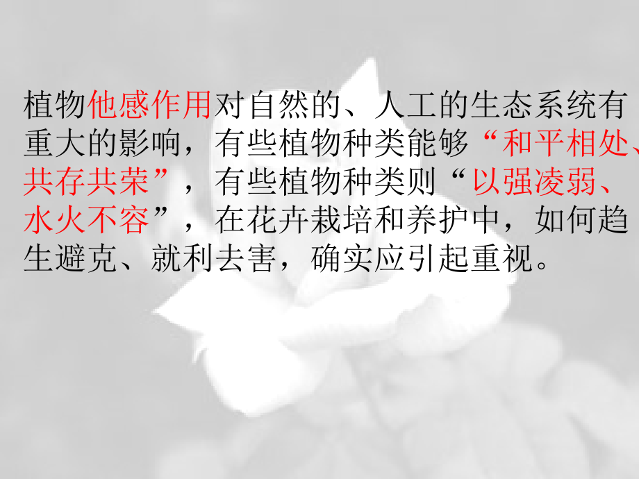 花卉的相生相克.ppt_第2页