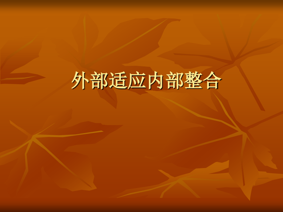 外部适应内部整合.ppt_第1页