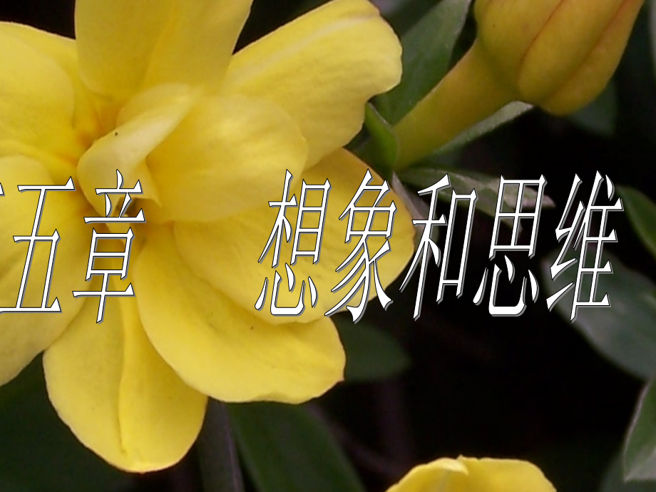 第五章思维.ppt_第1页