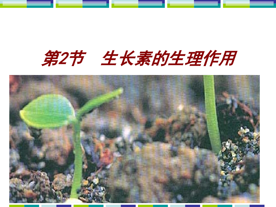 生物素的生理作用.ppt_第1页