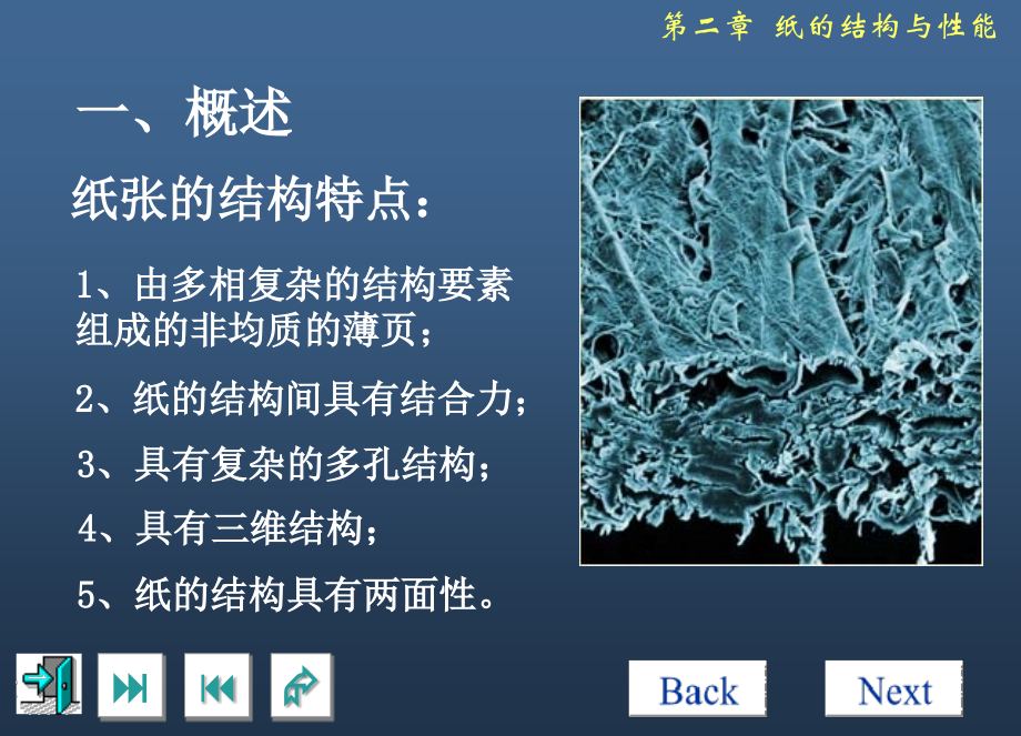 纸的结构与性能.ppt_第2页