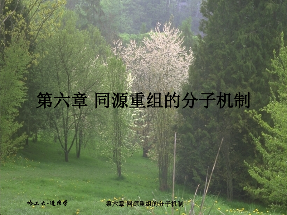 同源重组的分子机制.ppt_第1页