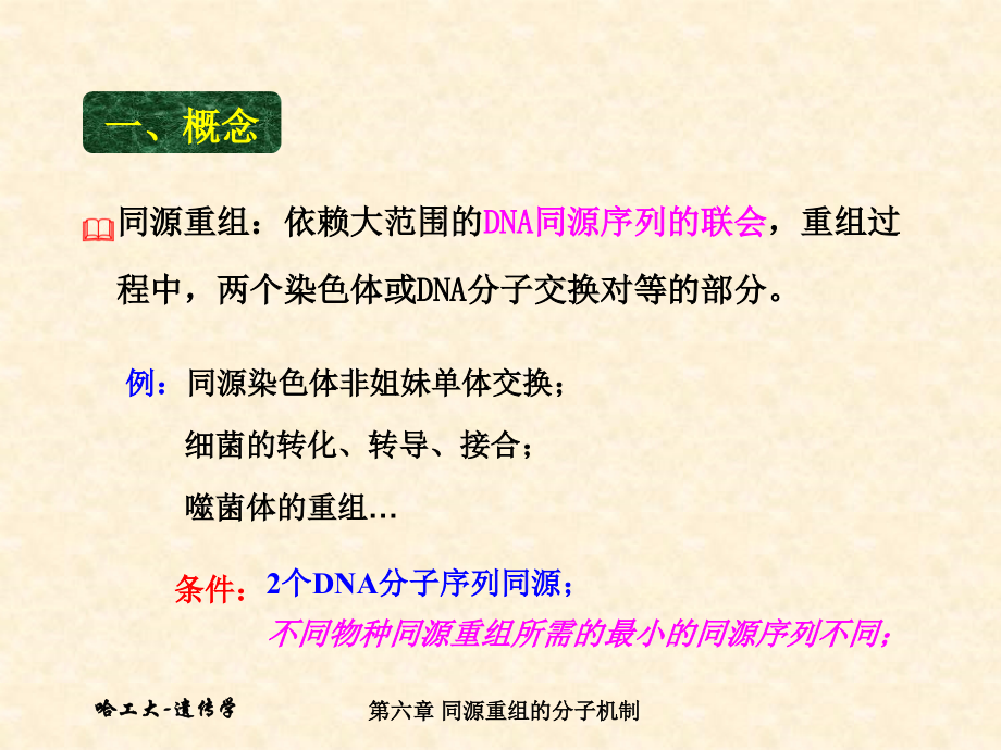 同源重组的分子机制.ppt_第2页