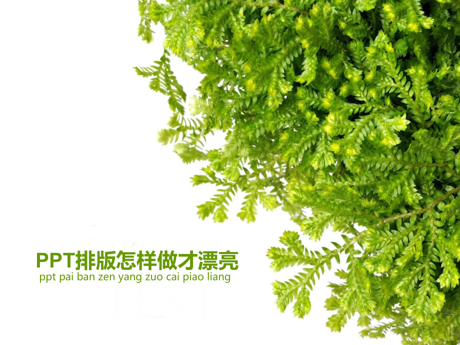 PPT排版怎样做才漂亮.ppt_第1页