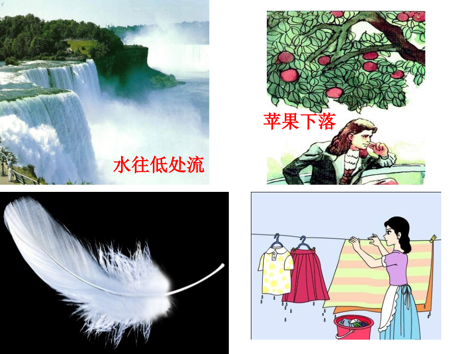 重力课件.pptx_第1页