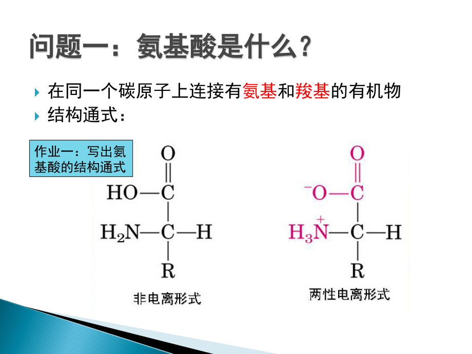 大专生物化学课件(新)-氨基酸性质及制备.ppt_第2页