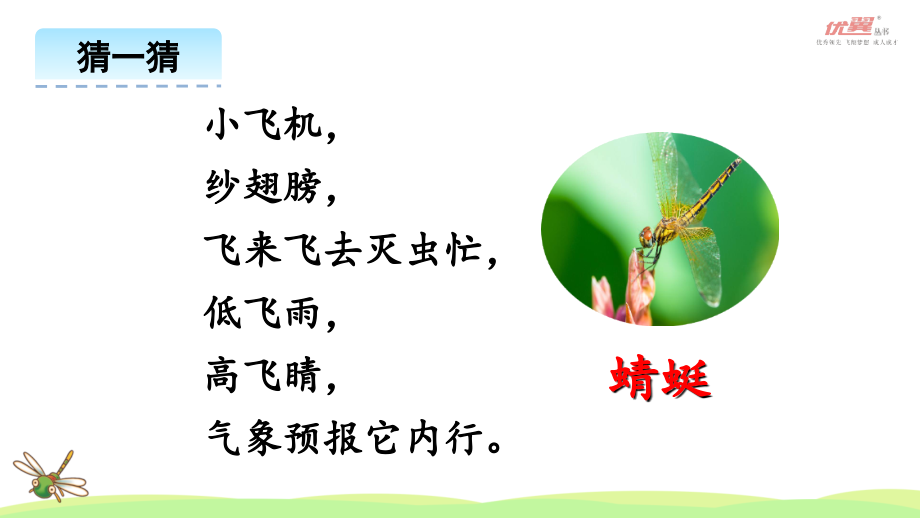 （上课课件）4昆虫备忘录.ppt_第2页