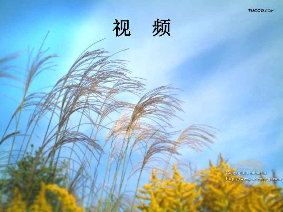 高考语文：公益广告词的拟写.ppt_第2页