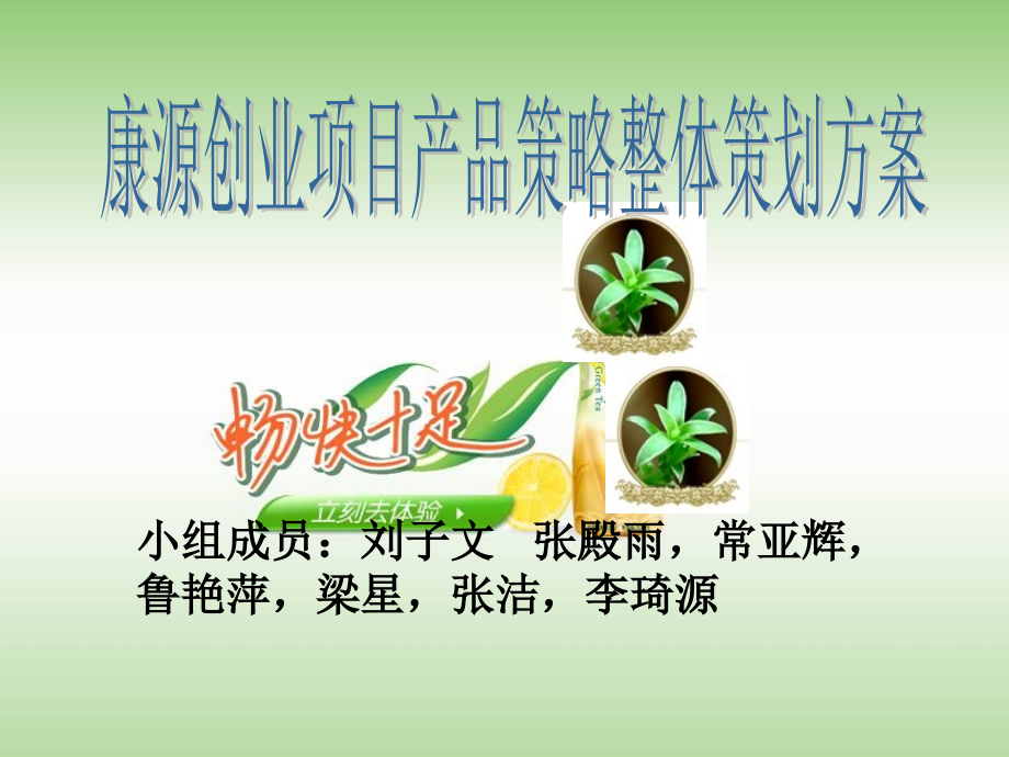 康源—功能型茶饮市场推广整体方.ppt_第1页
