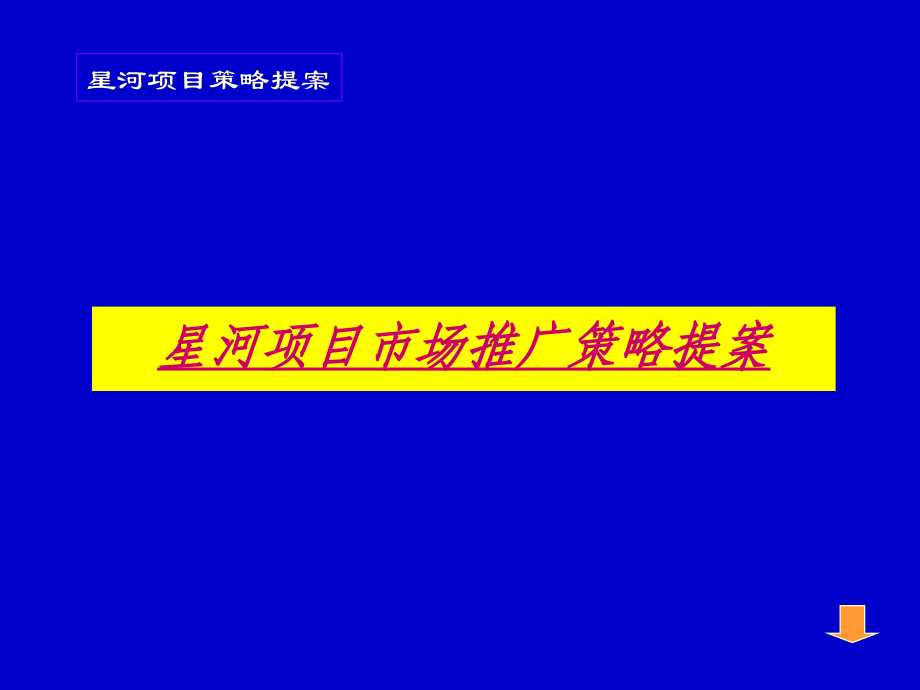星河项目市场推广策略提案.ppt_第1页