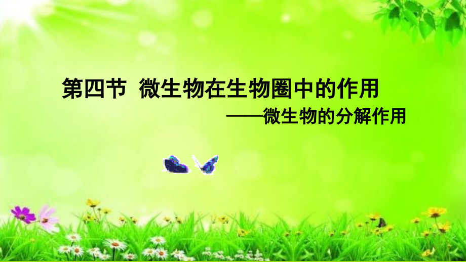 生物圈中的清洁工PPT.ppt_第1页
