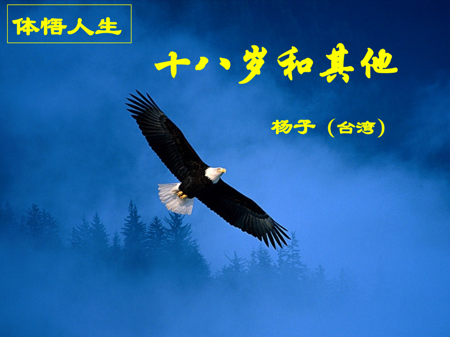 高考语文专题讲解-《十八岁及其他》对阅读及作文启示.ppt_第1页