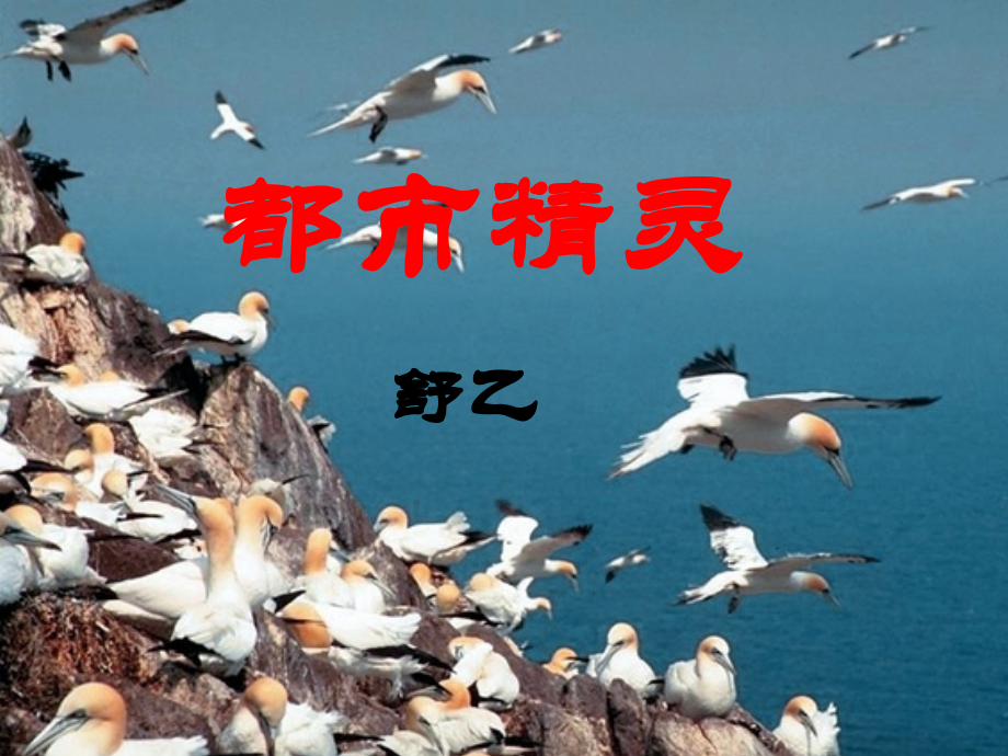 《都市精灵》课件10.ppt_第1页