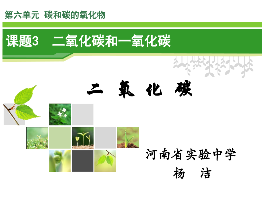 二氧化碳1012.ppt_第1页