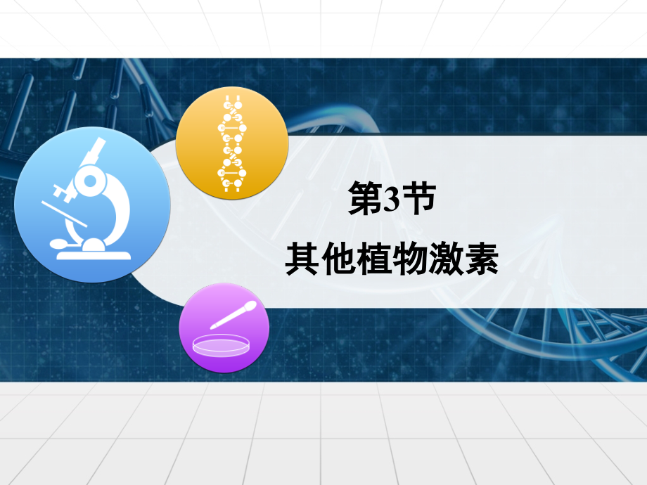 人教版高中生物必修三3.3《其他植物激素》课件.ppt_第1页