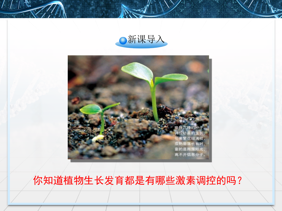 人教版高中生物必修三3.3《其他植物激素》课件.ppt_第2页