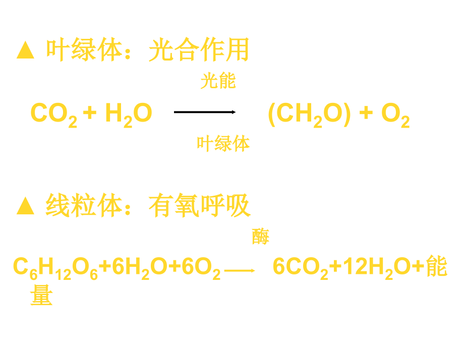 高一生物光合作用的实验.ppt_第2页