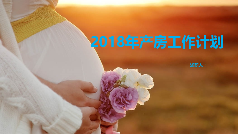 2018年产房计划.pptx_第1页