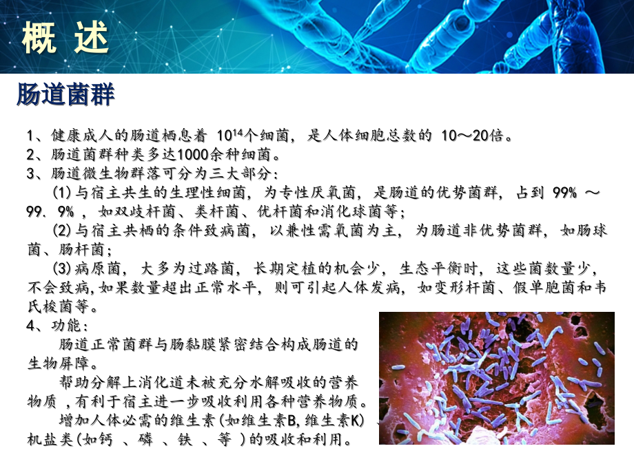 肠道菌群与免疫.pptx_第2页