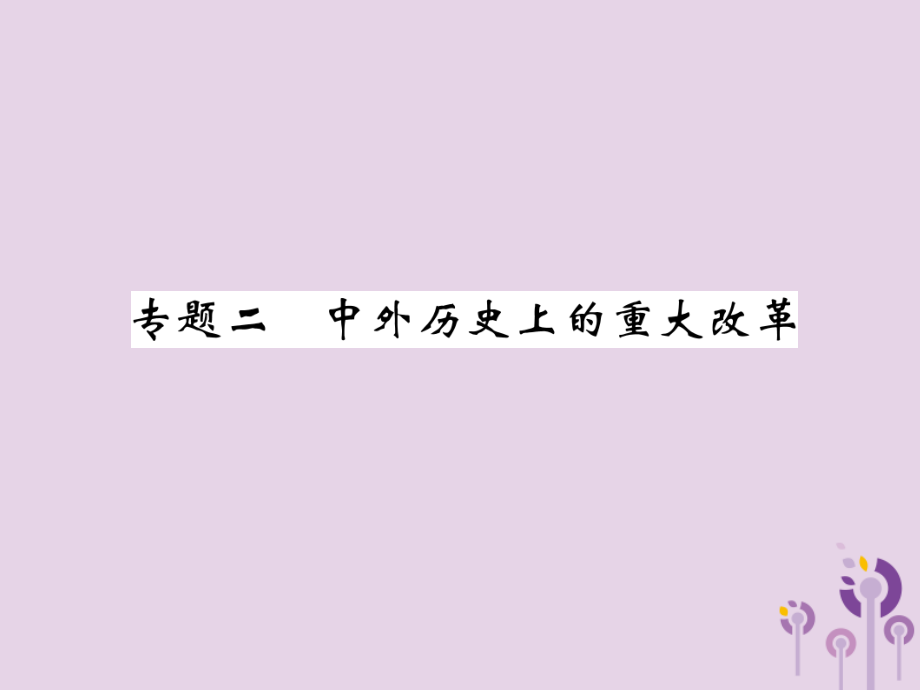 中考历史总复习 第二编 热点专题突破 专题2 中外历史上的重大改革课件.ppt_第1页
