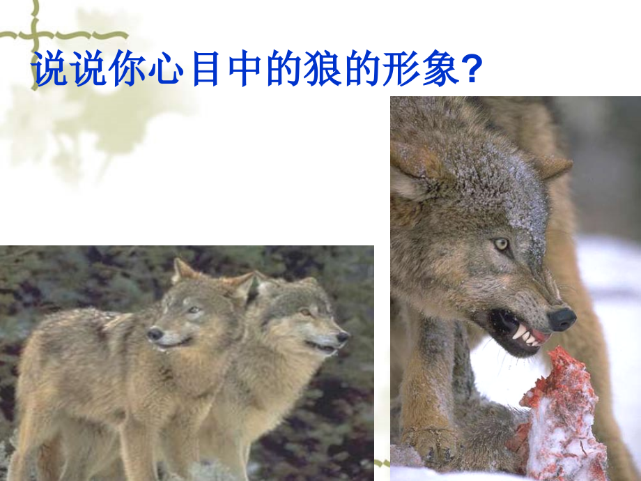 七年级下真正的英雄课件 人教版 课件.ppt_第1页