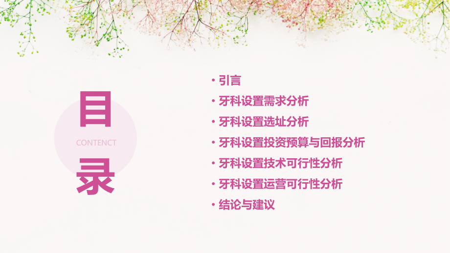 牙科设置可行性报告.pptx_第2页