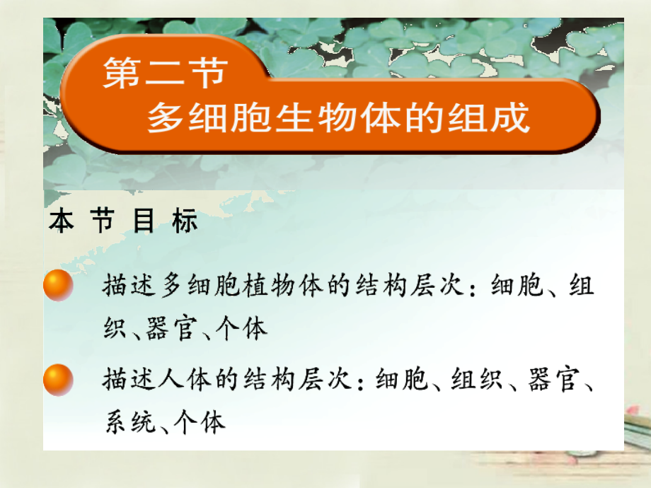 中学七年级生物上册 2.4.2 多细胞生物体的组成课件 (新版)苏教版 课件.ppt_第1页