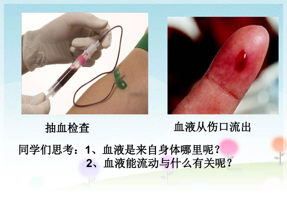第二节--人体的血液循环.ppt_第2页