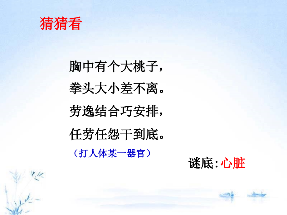 第三节输送血液的泵—心脏（一）.ppt_第2页