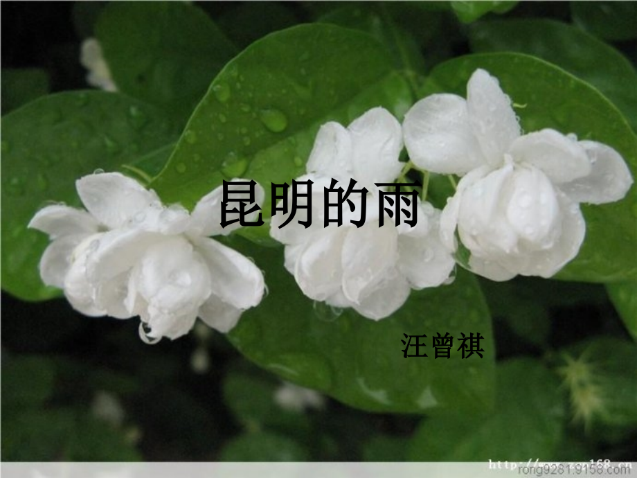 《昆明的雨》汪曾祺.ppt_第1页