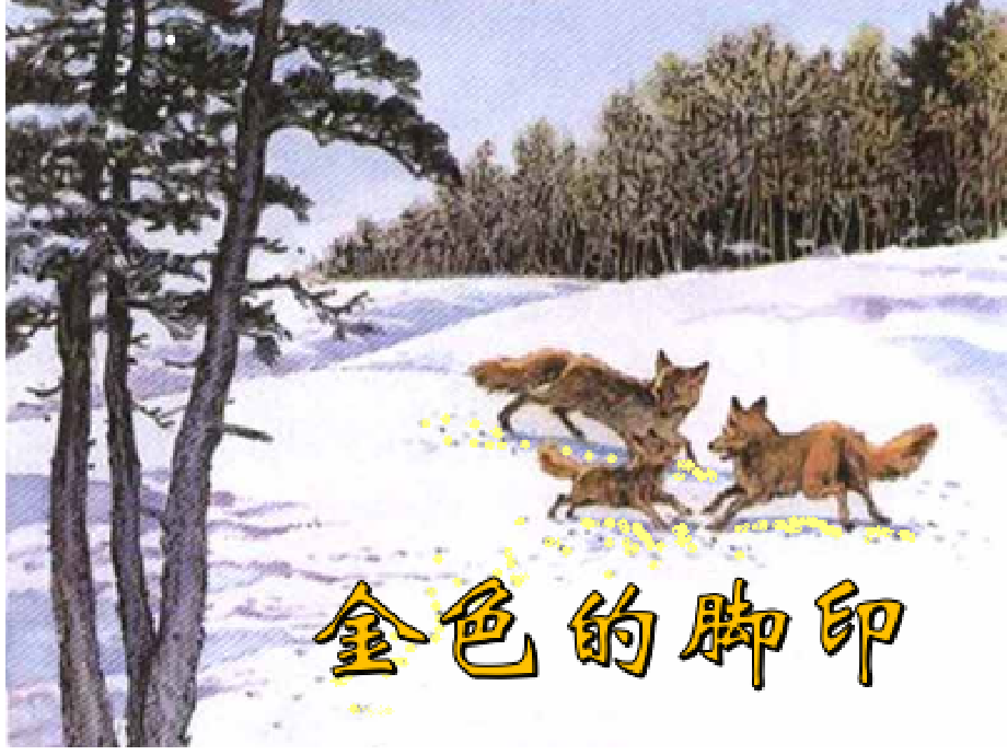 金色的脚印 (3).ppt_第1页