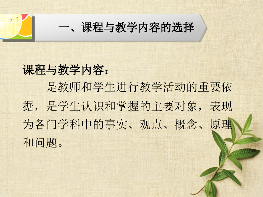 专题三：课程与教学内容.ppt_第2页
