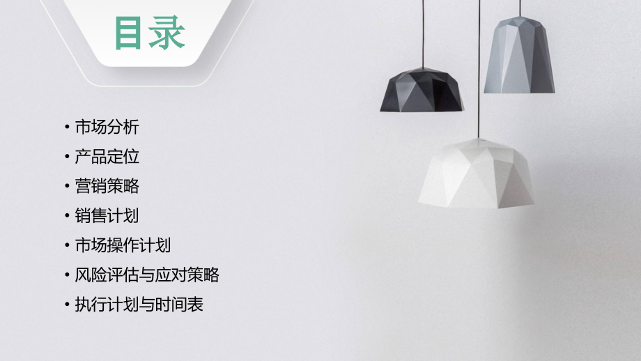 市场操作计划书.pptx_第2页