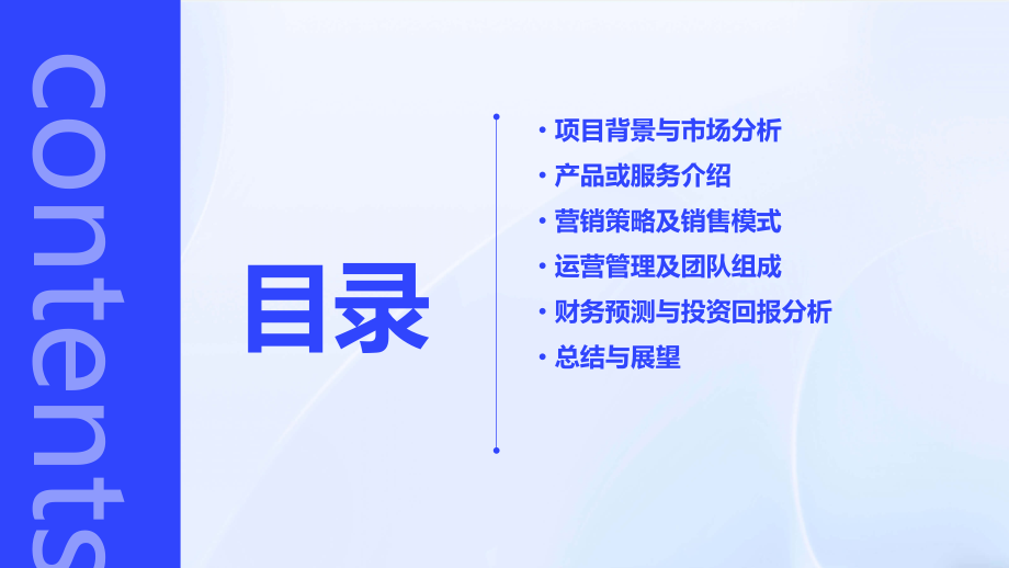 创业计划书的项目简介.pptx_第2页