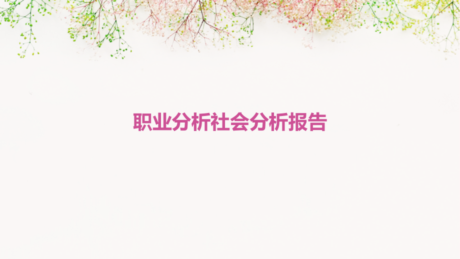 职业分析社会分析报告.pptx_第1页