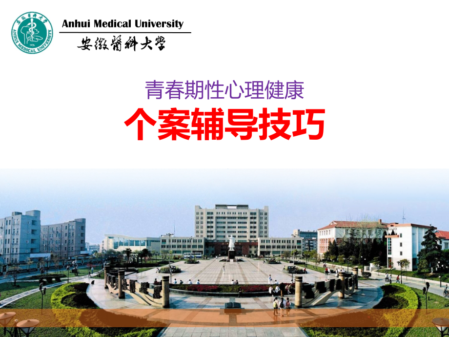青春期性心理个案辅导技巧.ppt_第1页