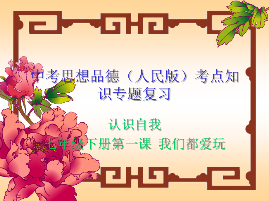 人民版思想品德中考总复习课件.ppt_第1页
