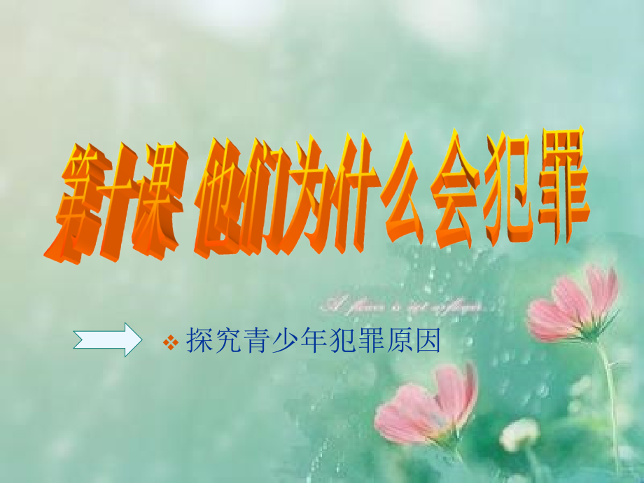 八年级政治他们为什么会犯罪.ppt_第1页