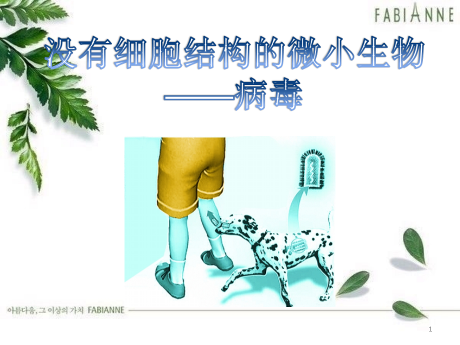 第五章《病毒》.ppt_第1页