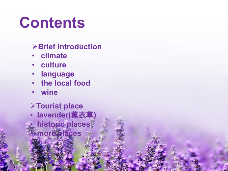 普罗旺斯---听说展示.ppt_第2页