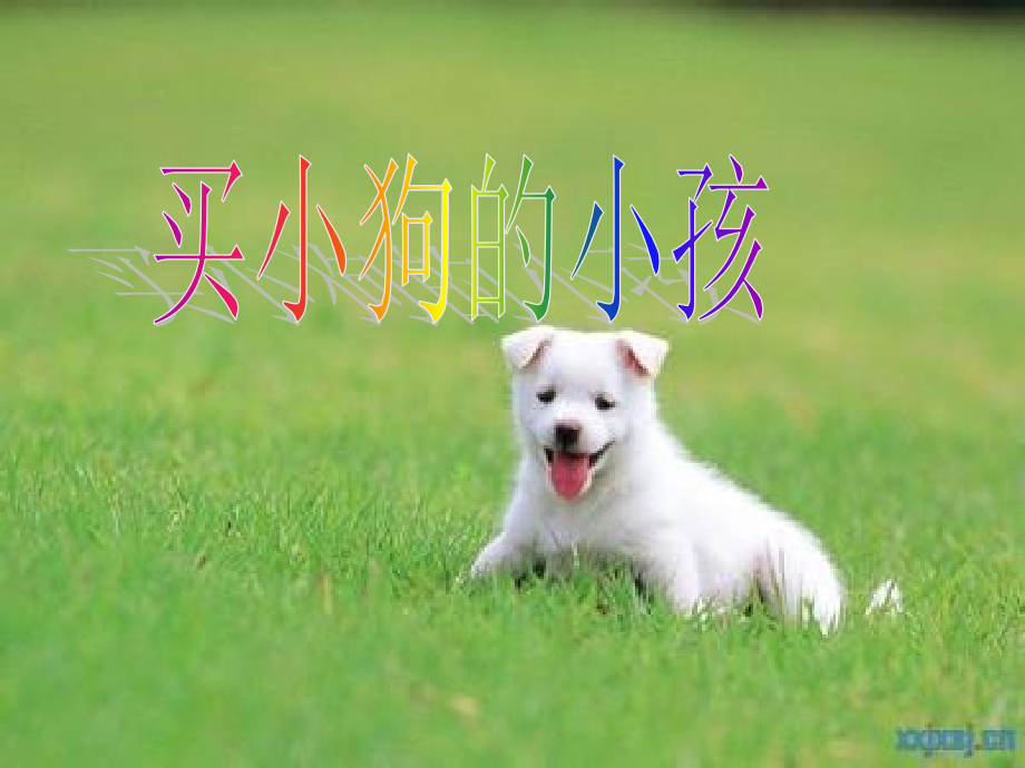 买小狗的小孩.ppt_第1页