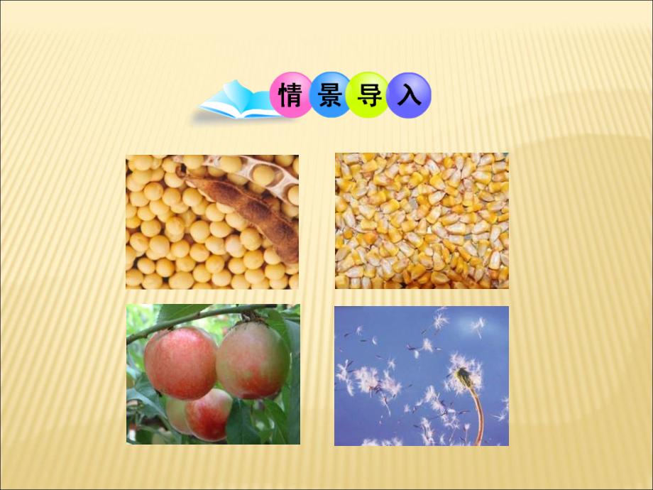 济南版八上第三节《果实和种子的形成》.ppt_第2页