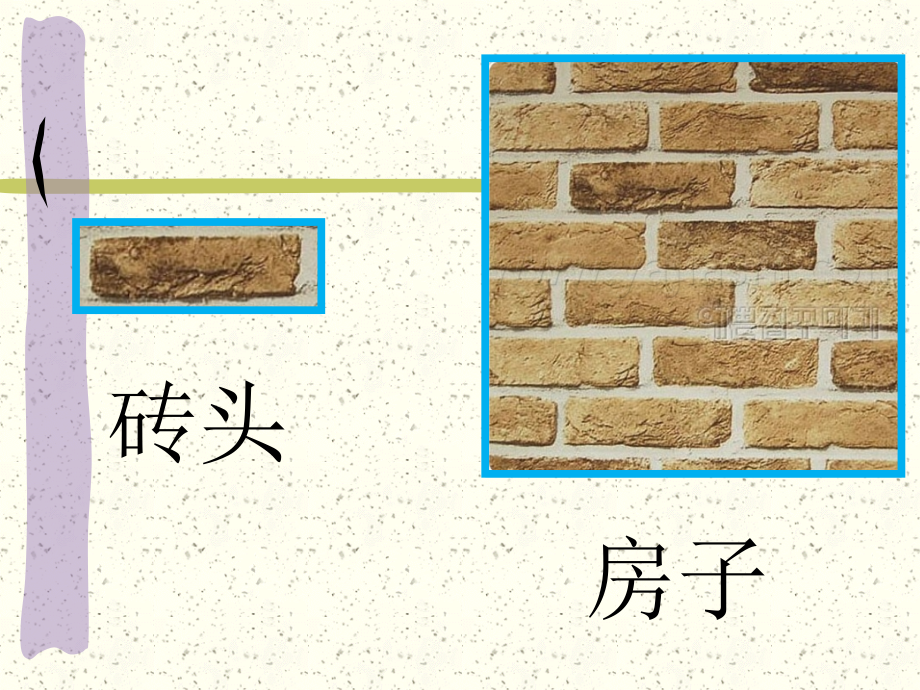 动物的结构层次上课.ppt_第1页