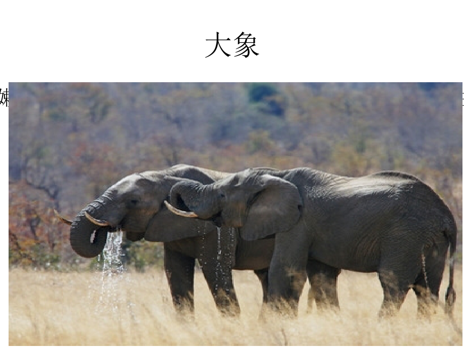 幼儿园语言活动幻灯片.ppt_第2页