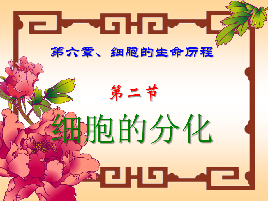细胞分化课件.ppt_第1页
