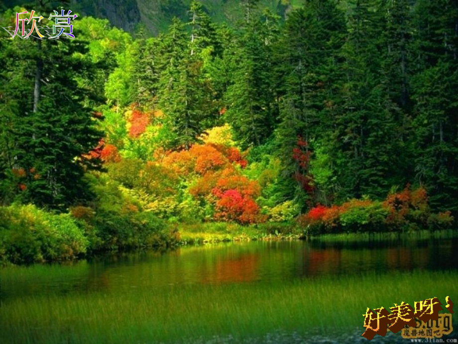 世界水日主题班会.ppt_第2页